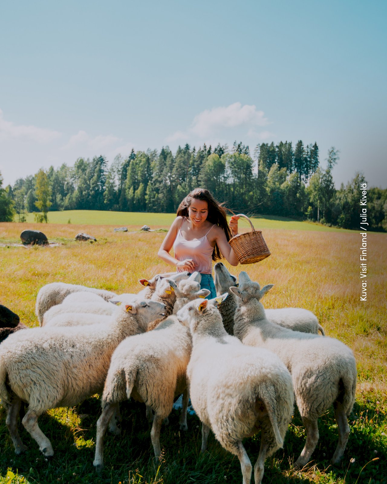 Nainen valkoisten lampaiden ja yhden mustan lampaan ympäröimänä laitumella.